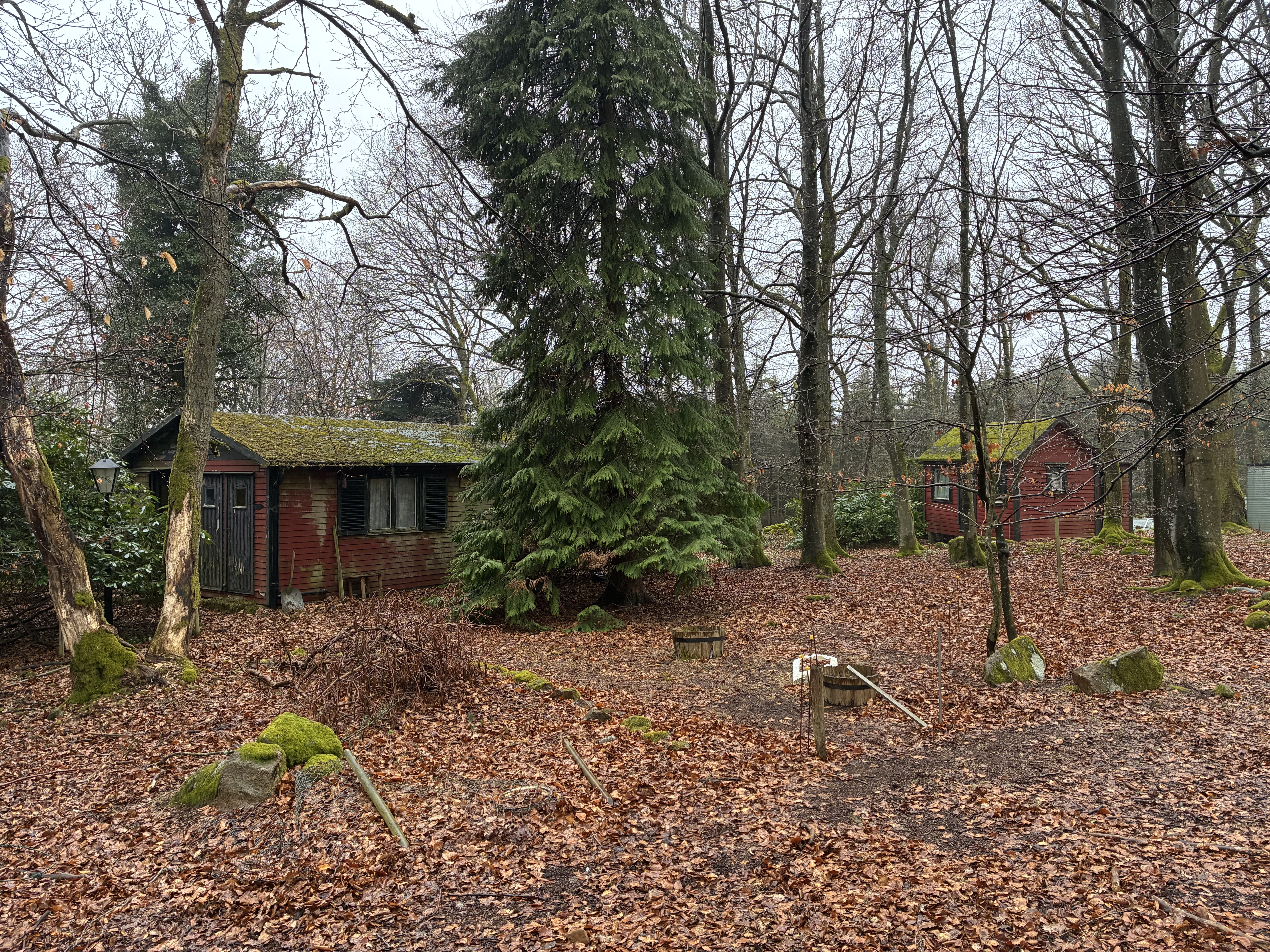 Stuga på Söderåsen i fantastisk miljö