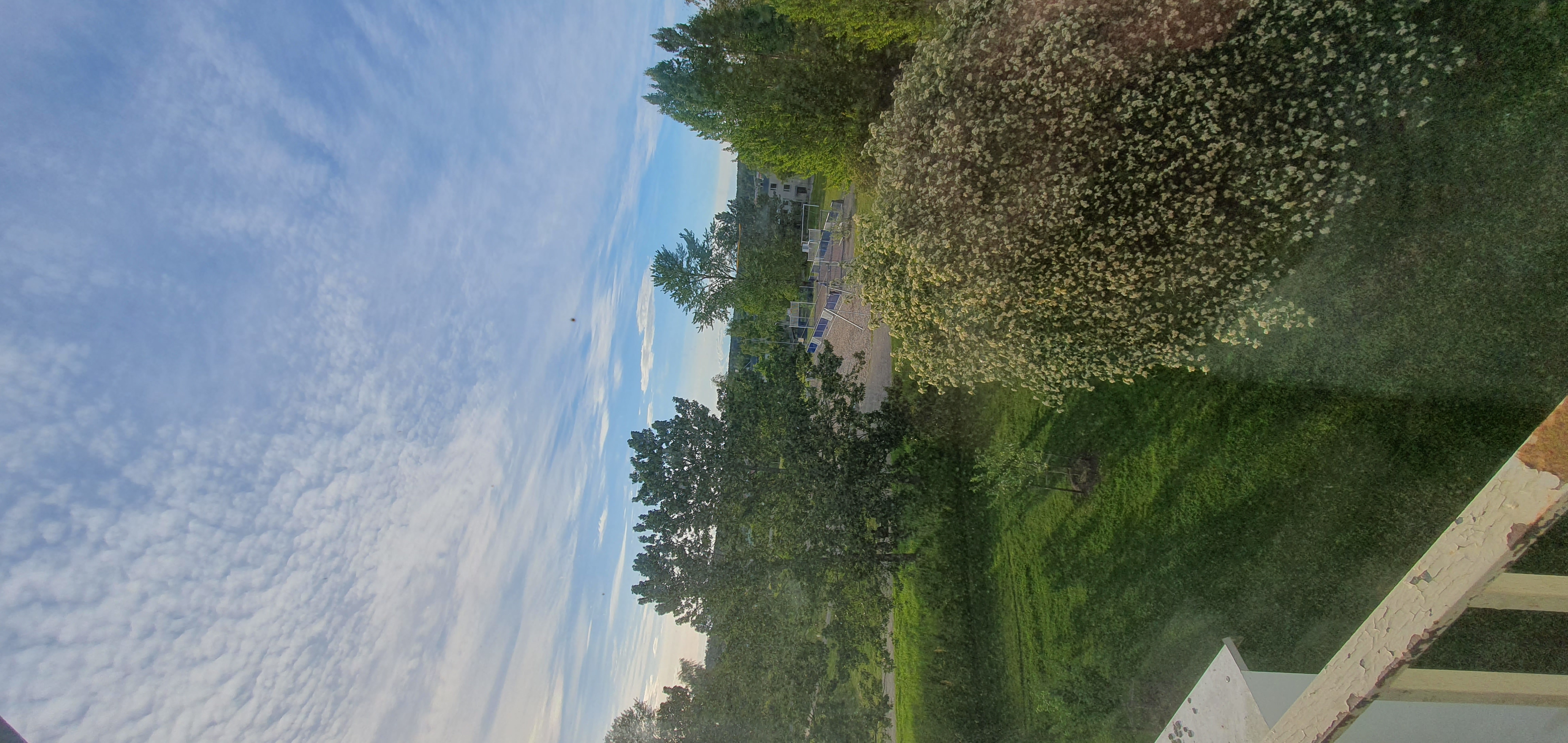Bild 12