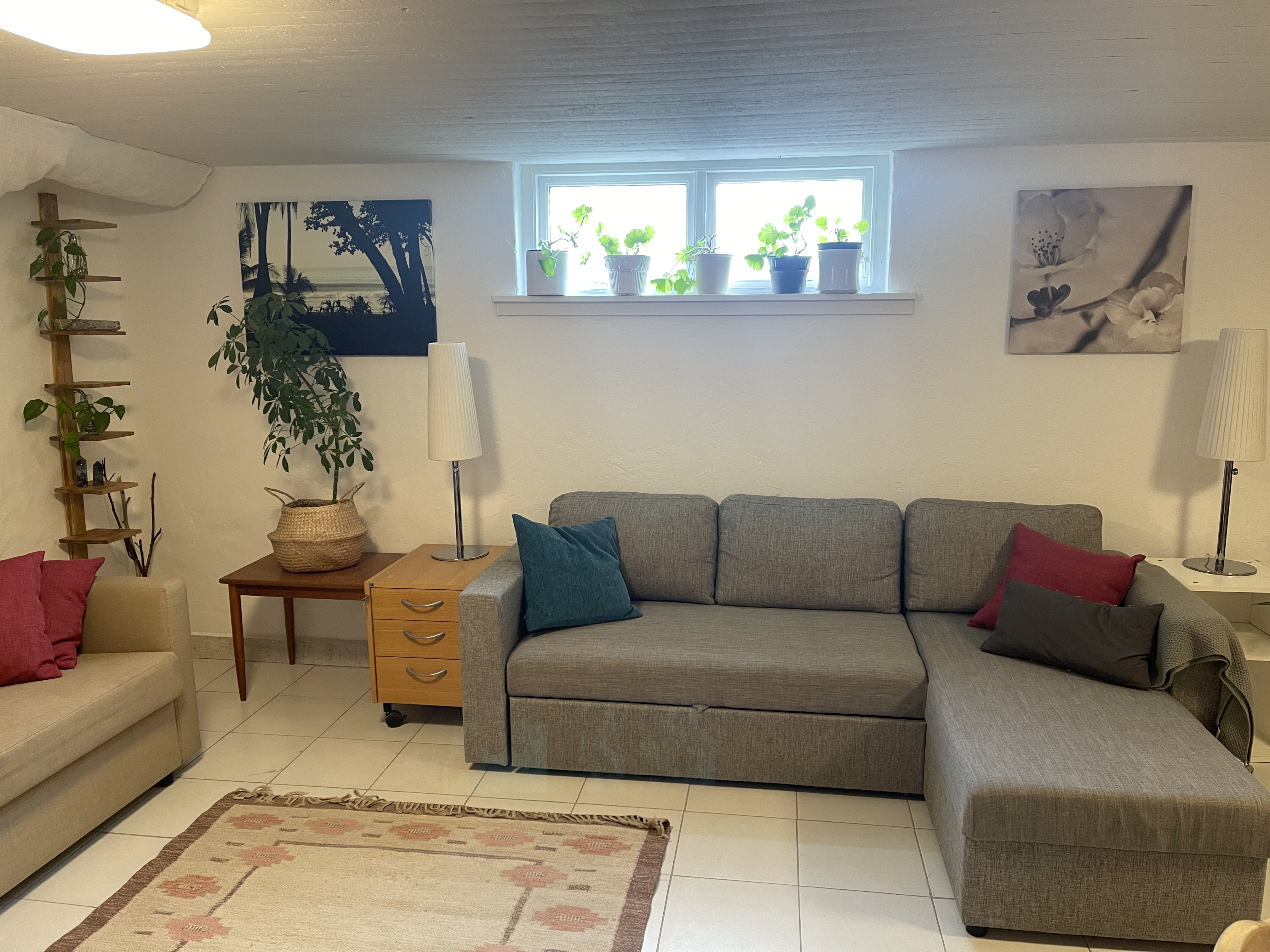 Bild 7
