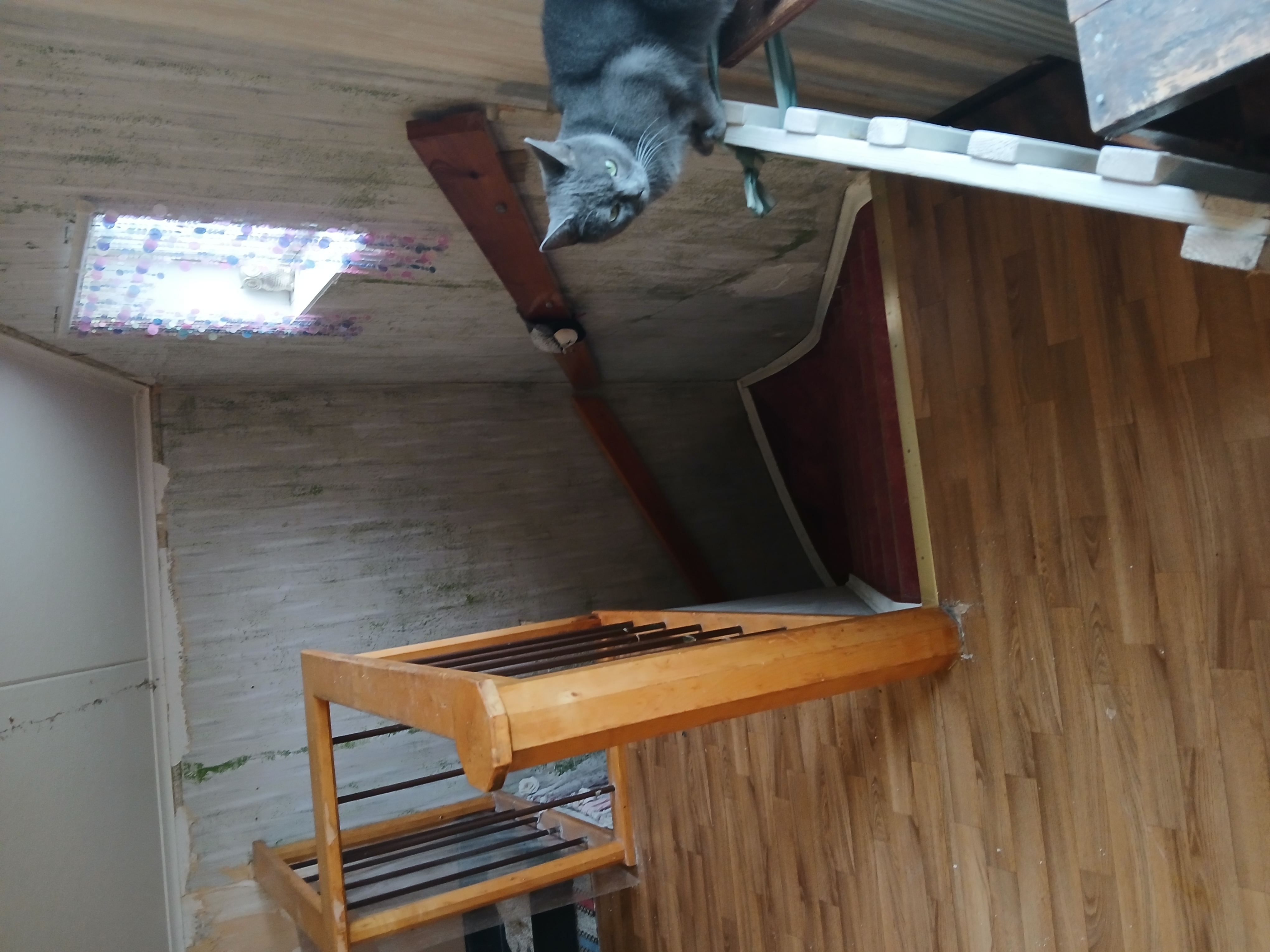 Bild 14