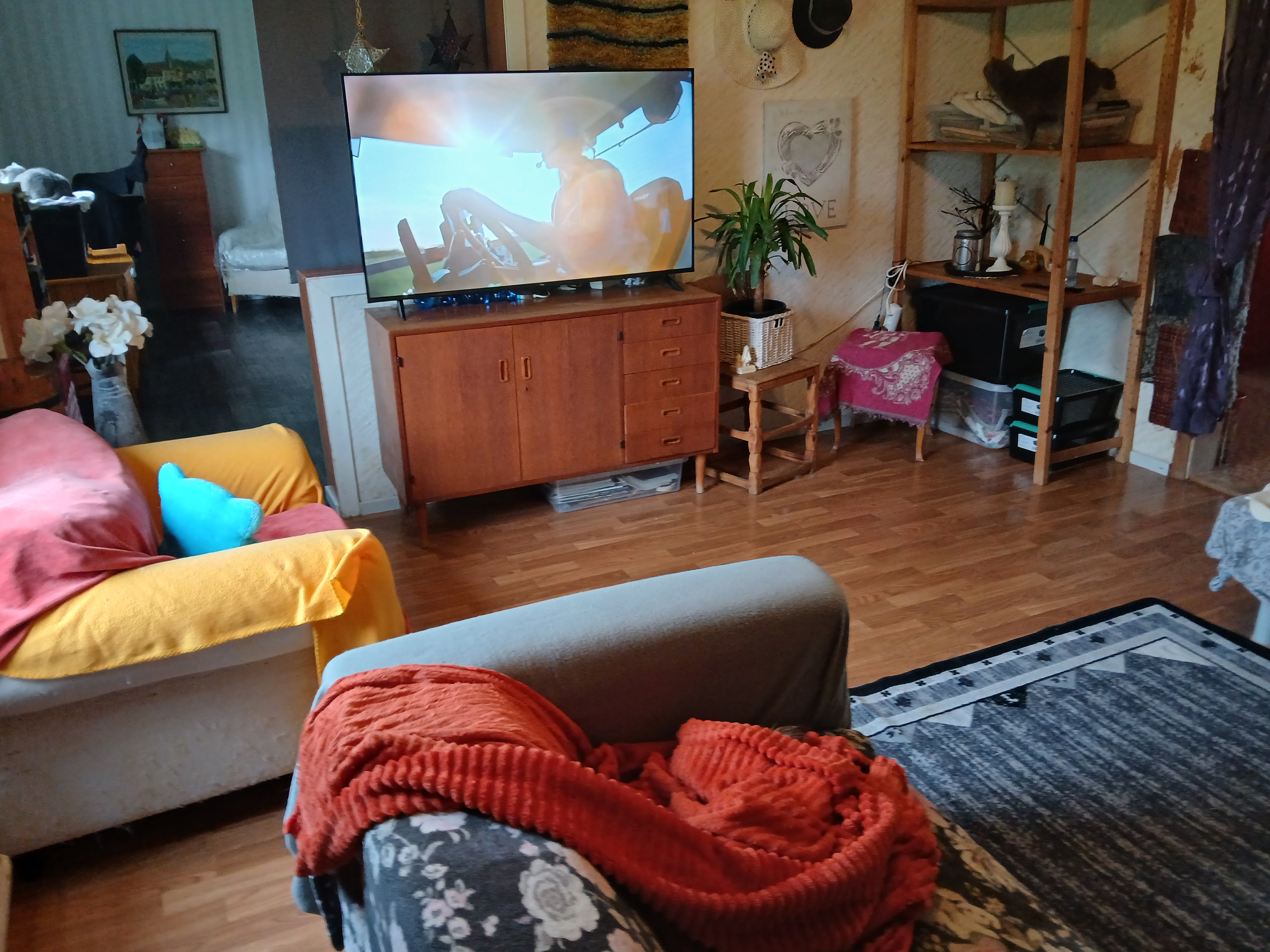 Bild 12