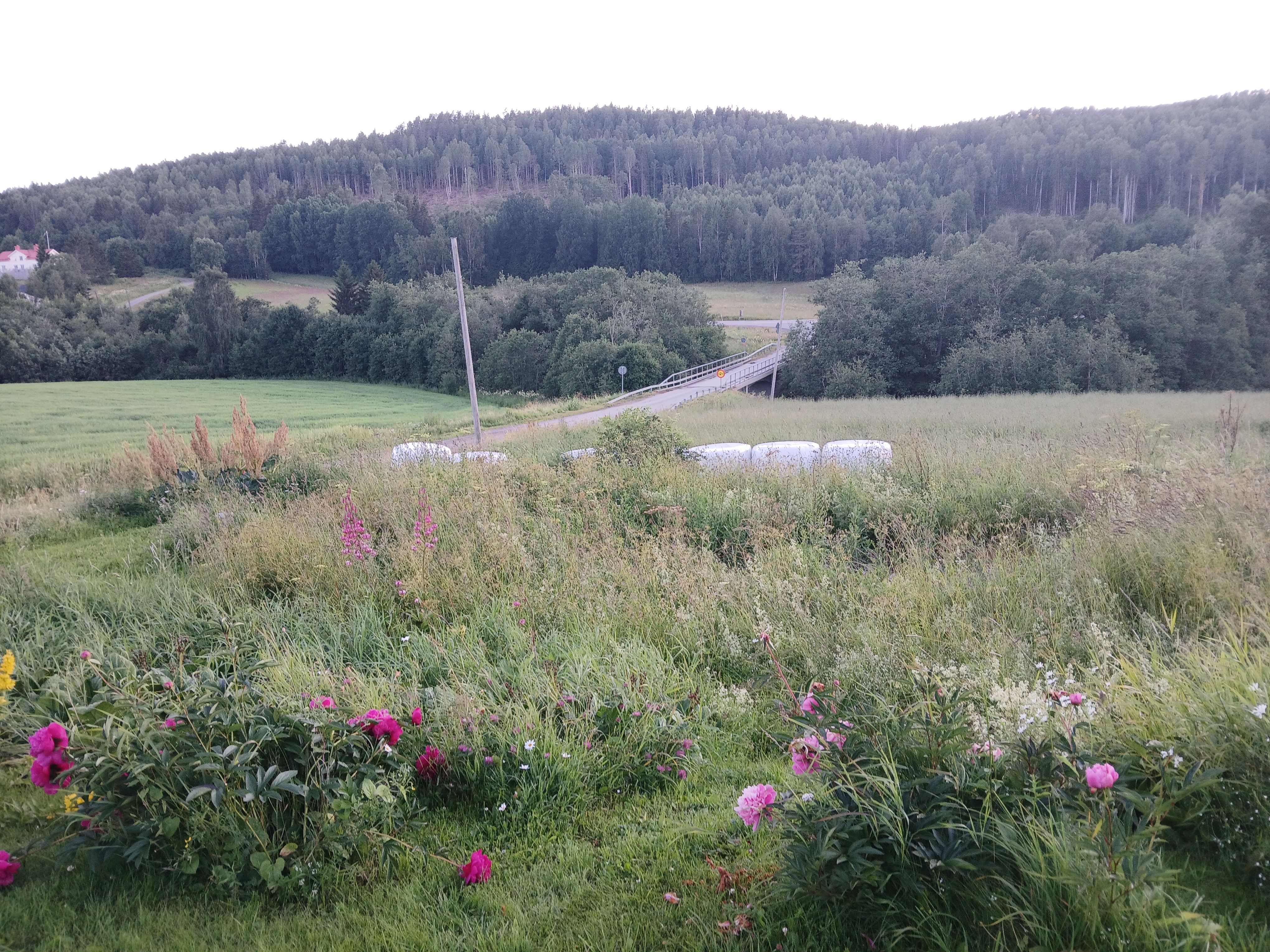 Bild 17