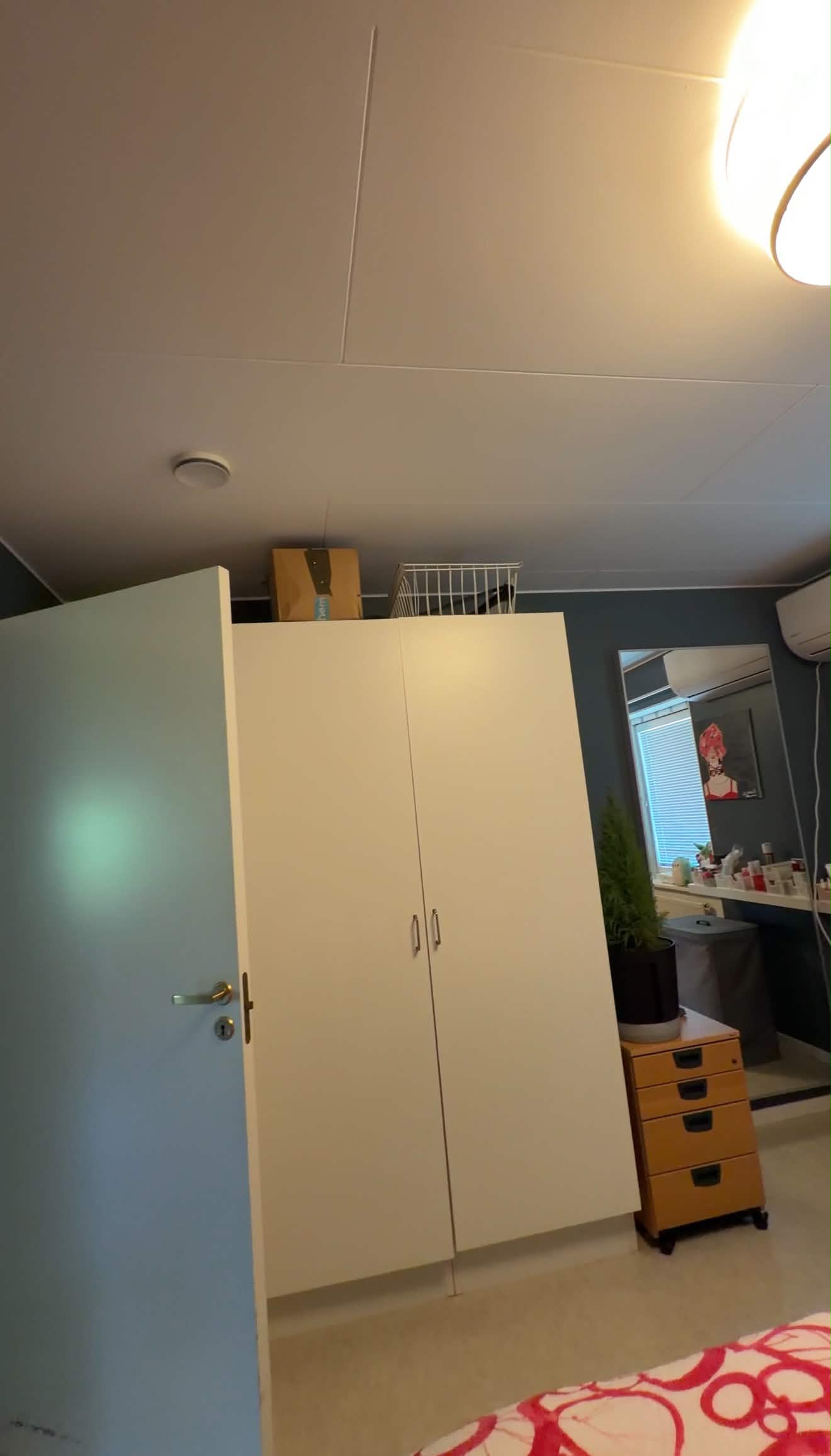 Bild 12