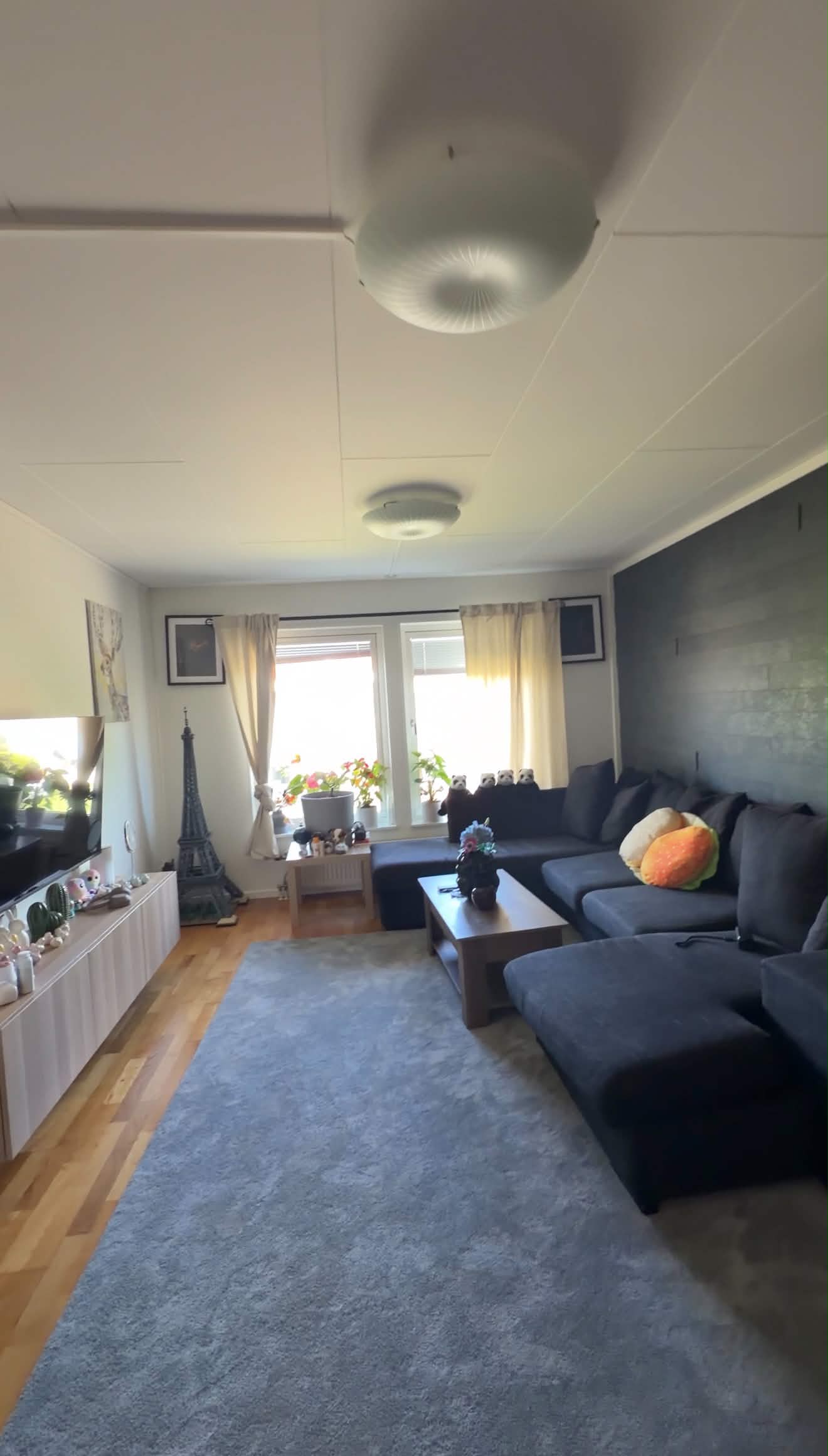 Bild 16