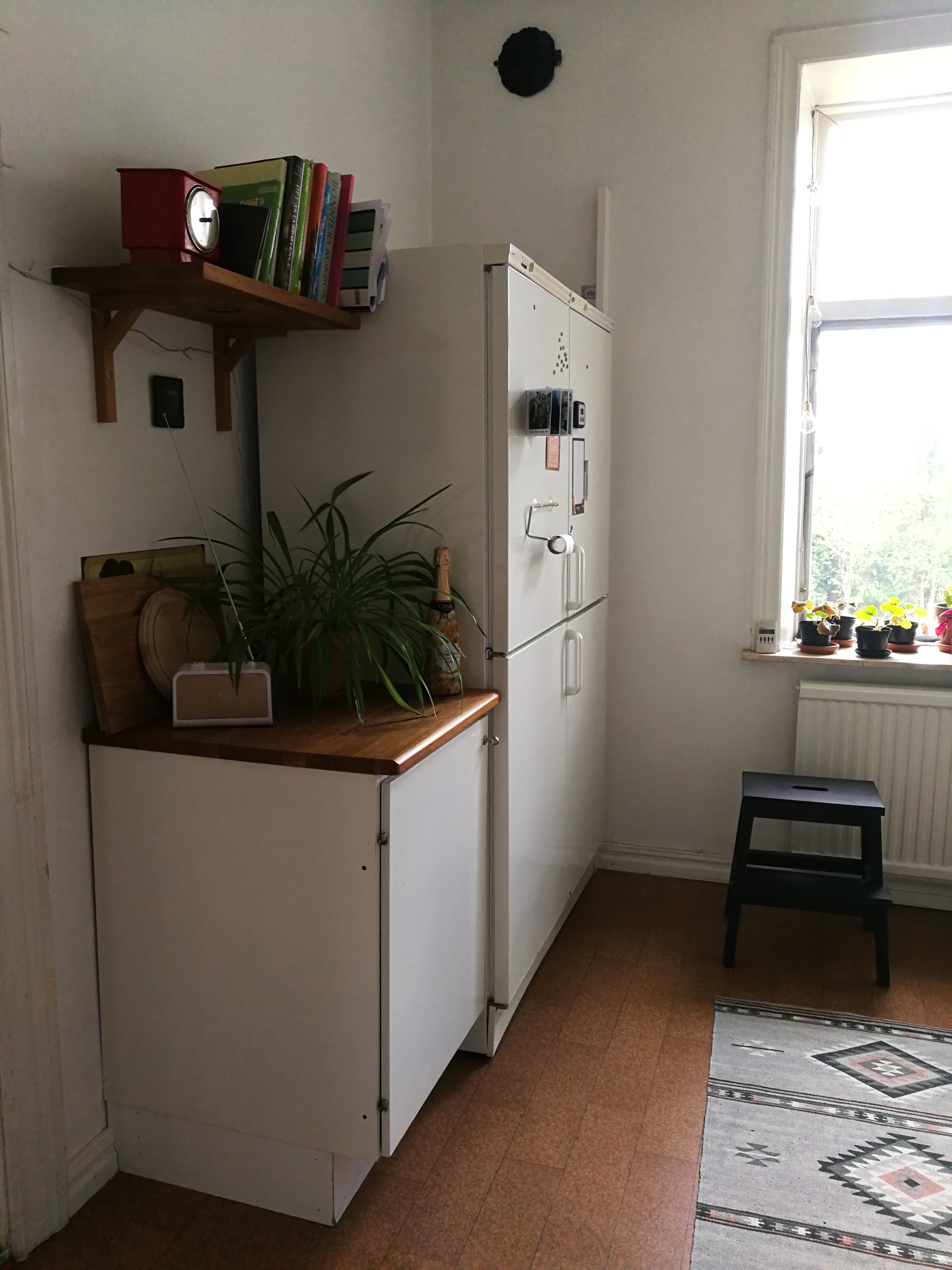 Bild 5