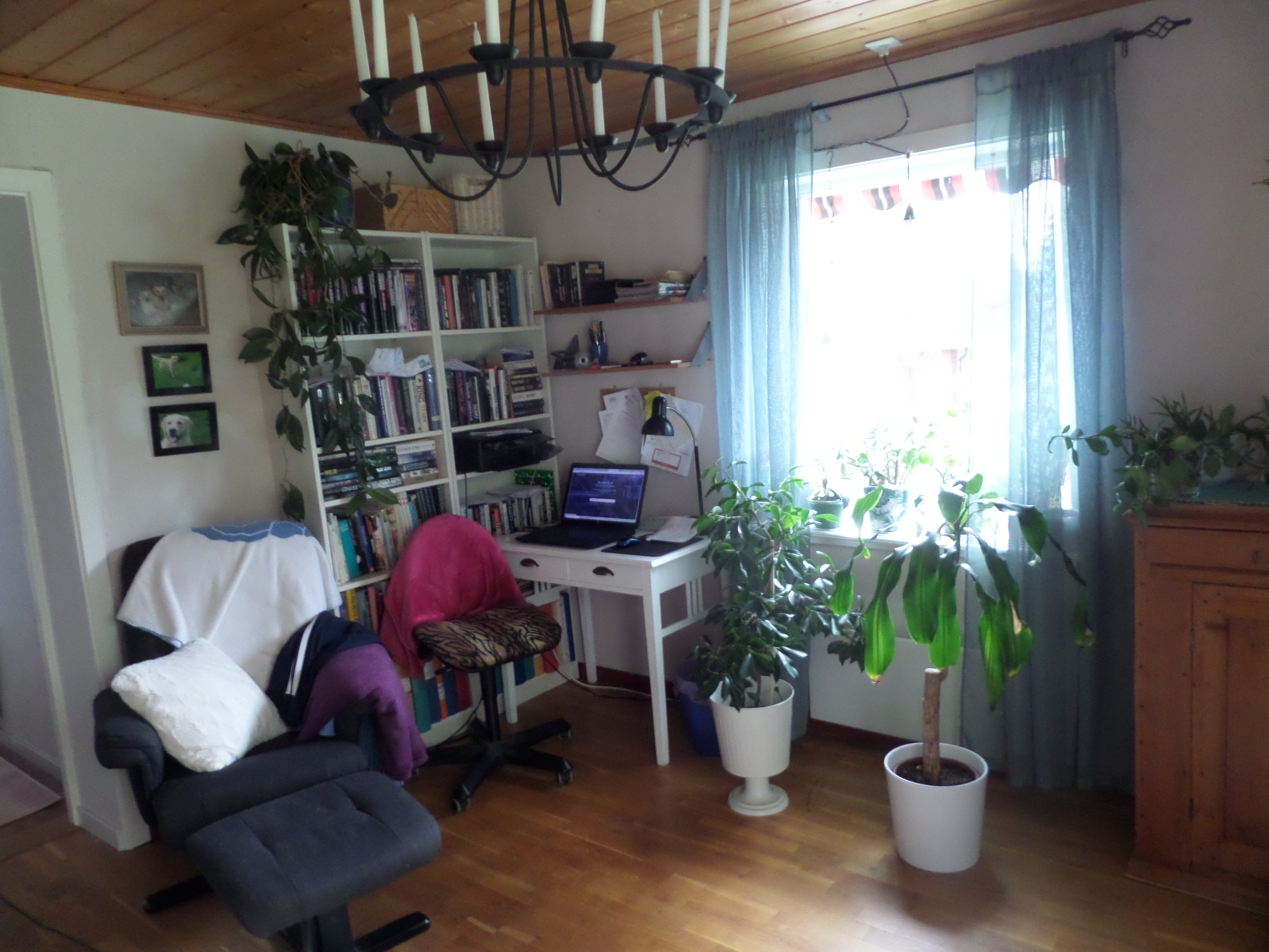 Bild 17