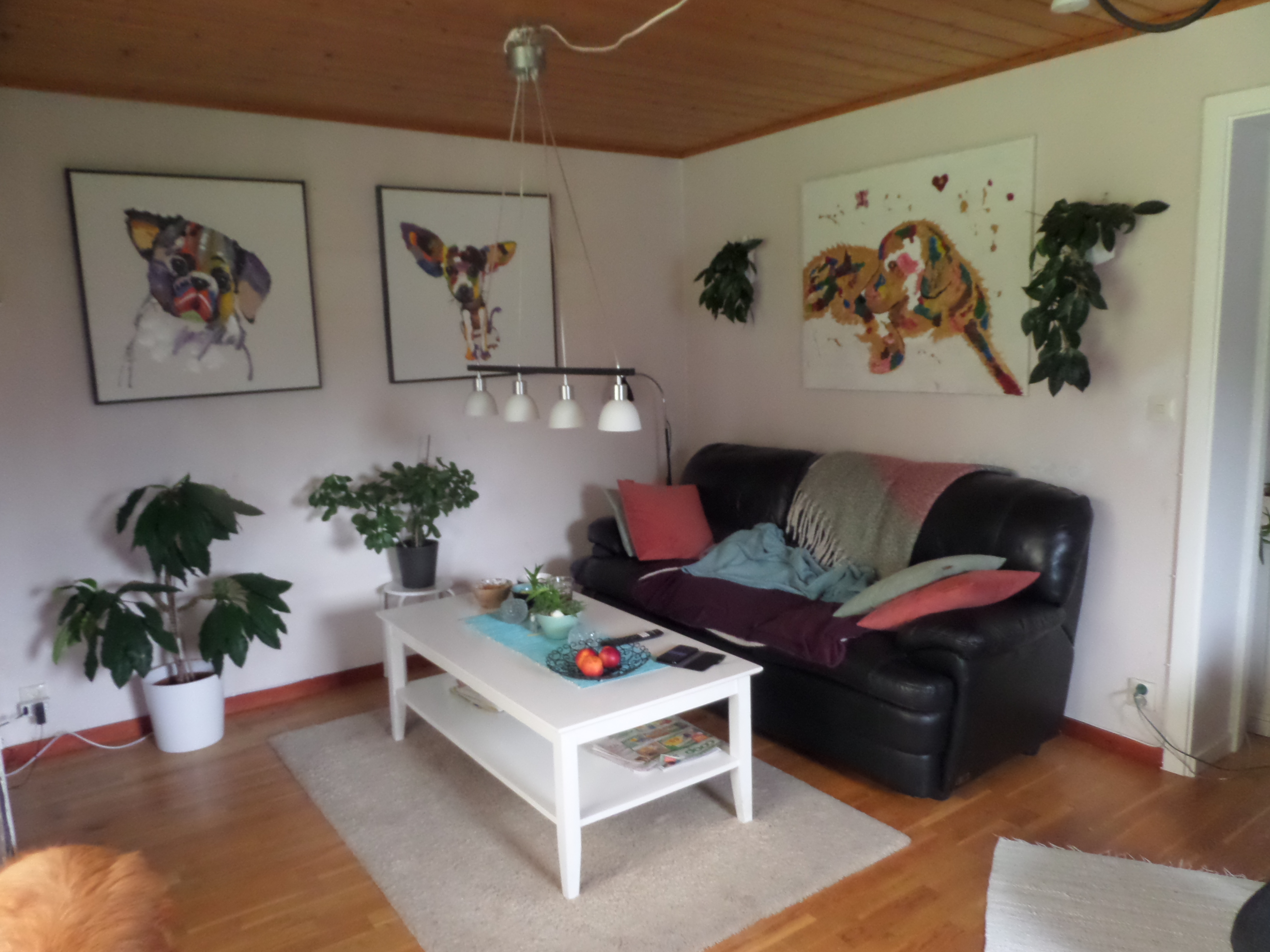 Bild 15