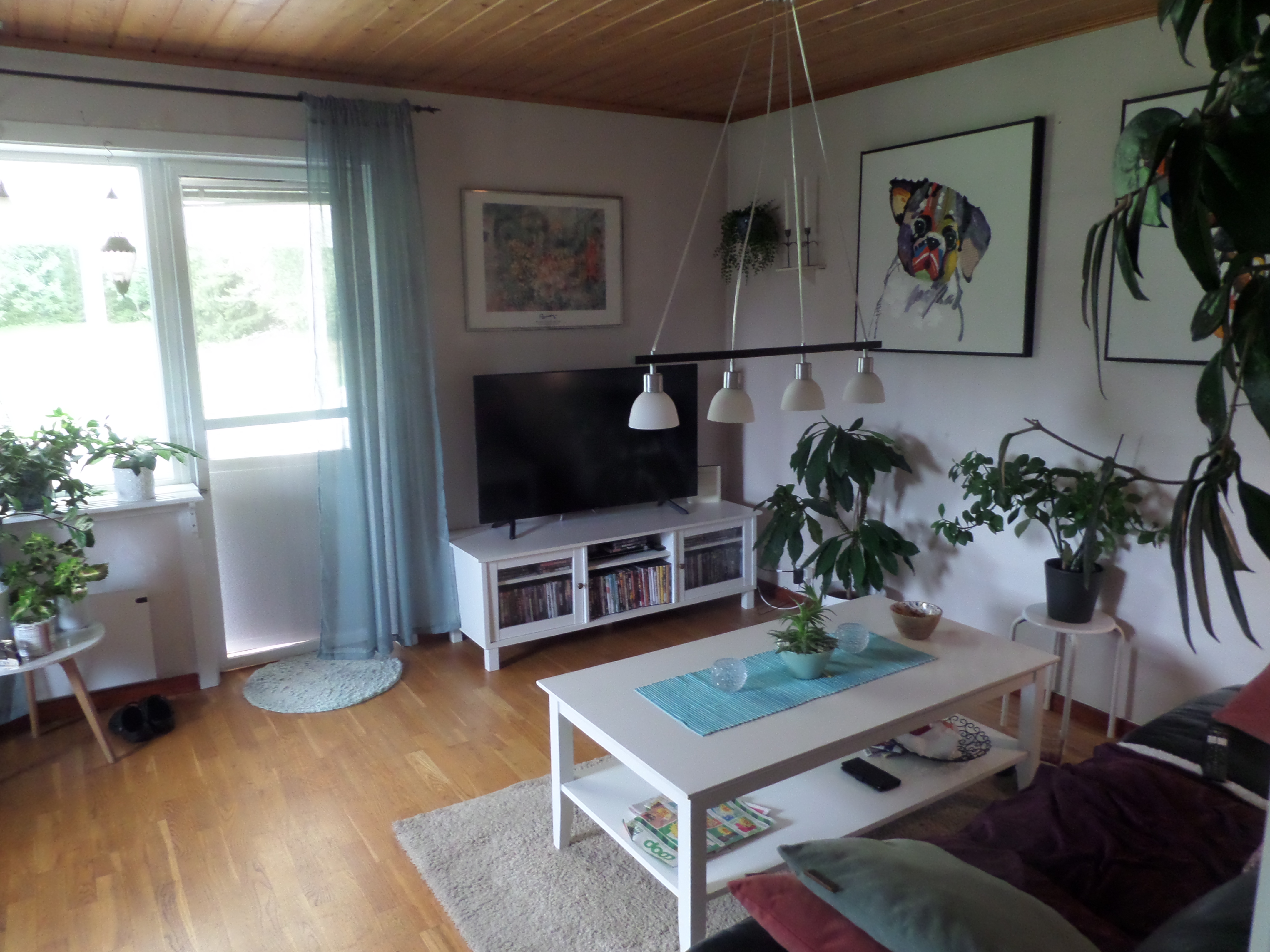 Bild 14