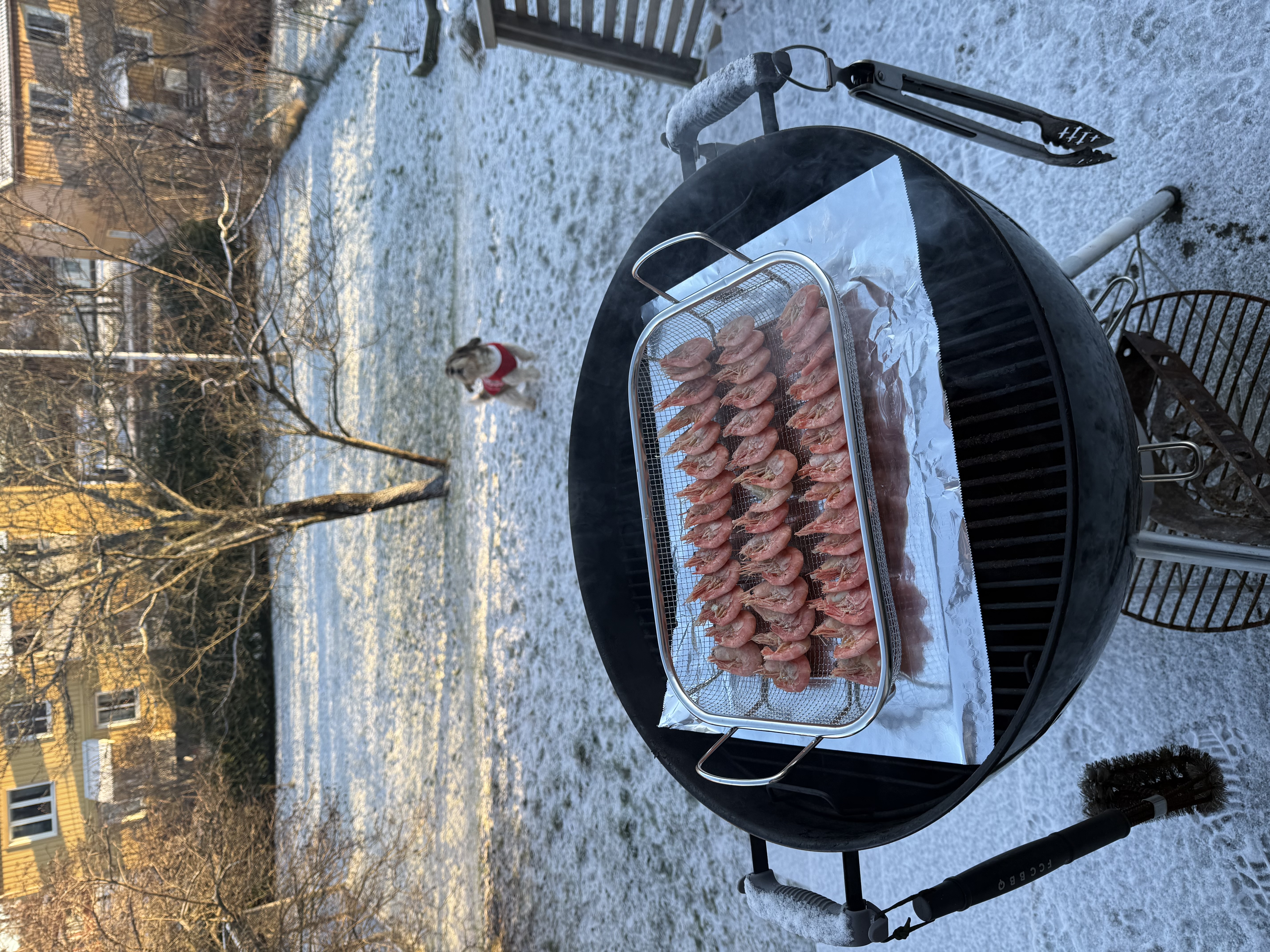 Bild 12